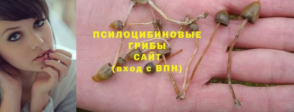 экстази Алексеевка