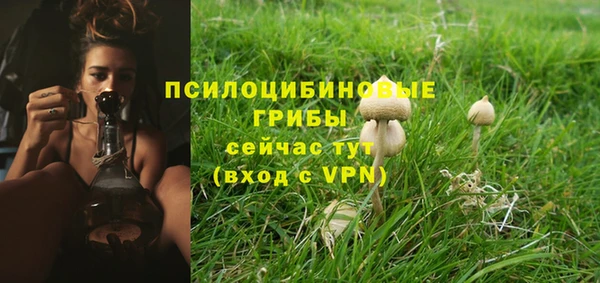 марки nbome Абаза
