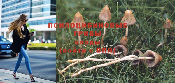 герыч Абинск