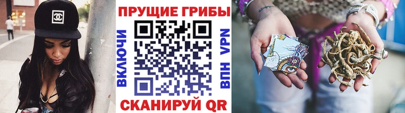 Псилоцибиновые грибы ЛСД  Нюрба 